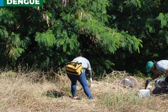 Mutirão de limpeza contra a dengue