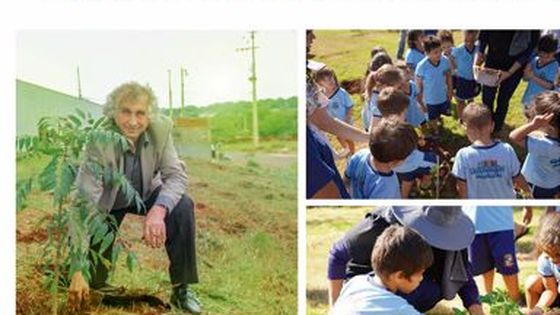 Plantio de árvores com crianças